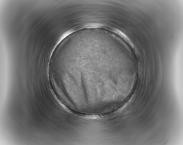 X0000084541186200703161622