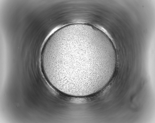 X0000084541187200703161622