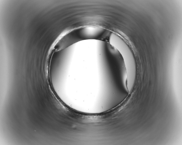 X0000084541188200703161622