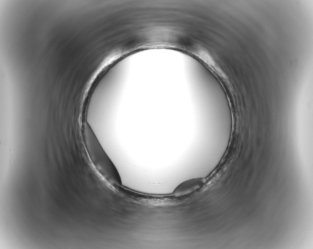 X0000084541189200703161622