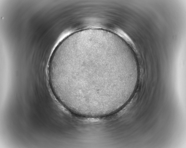 X0000084541190200703161622