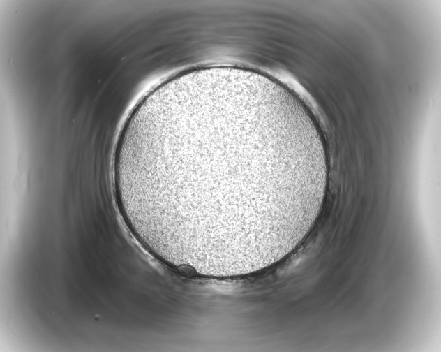 X0000084541191200703161622