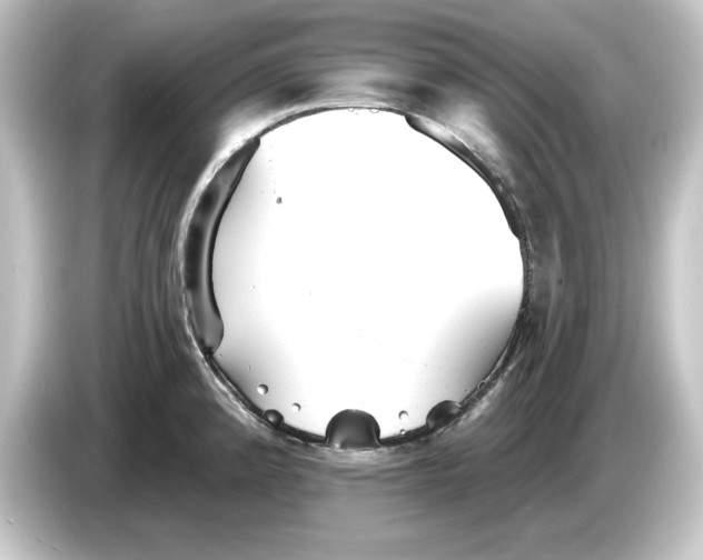 X0000084541192200703161622