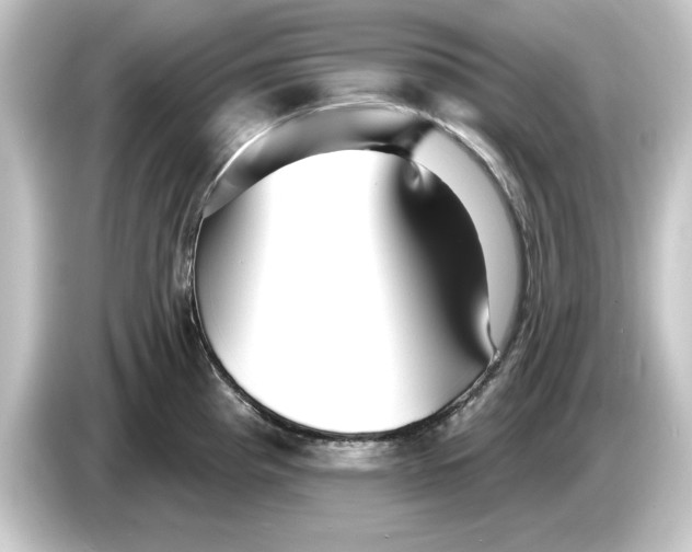 X0000084541193200703161622