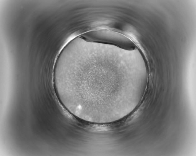 X0000084541194200703161622