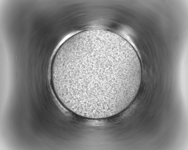 X0000084541195200703161622