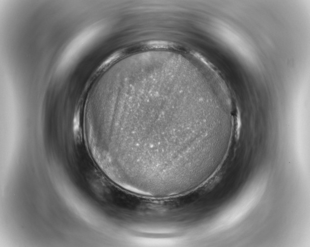 X0000084541198200703161622