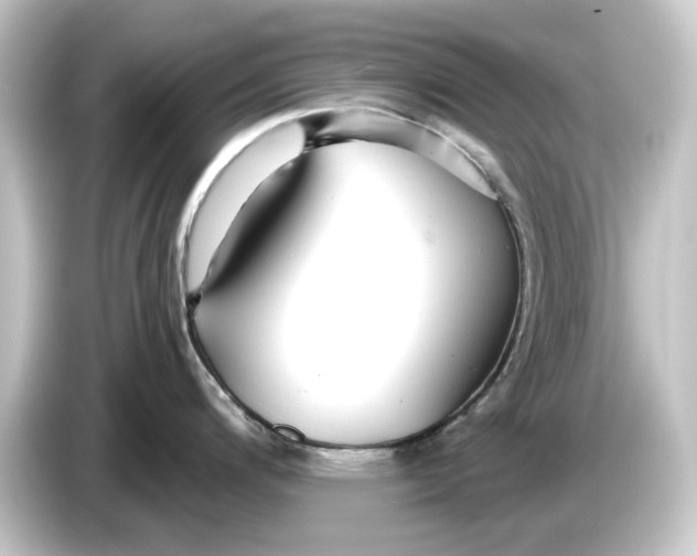 X0000084541200200703161622