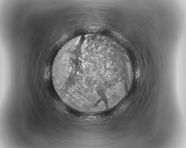 X0000084541204200703161621