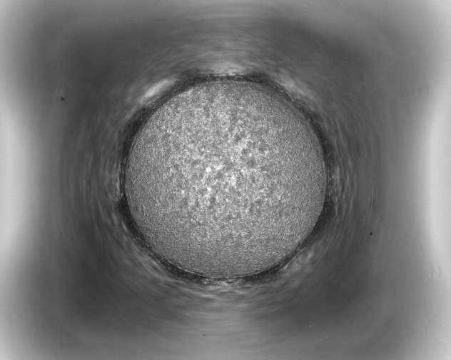 X0000084541205200703161621