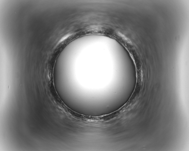 X0000084541206200703161621