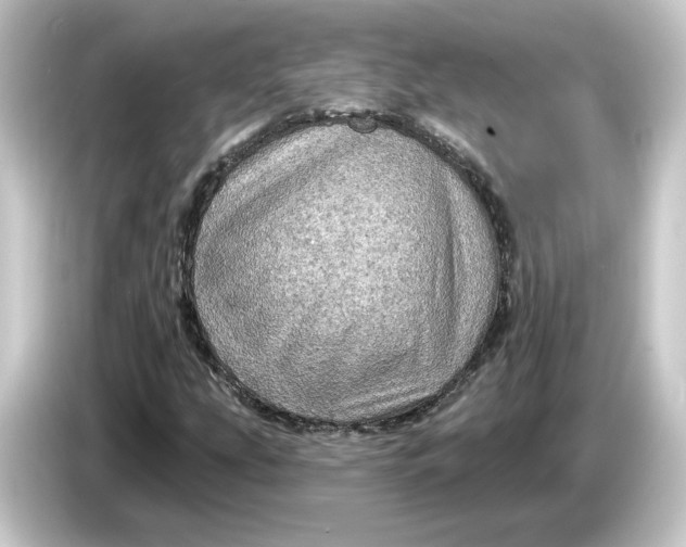 X0000084541207200703161621