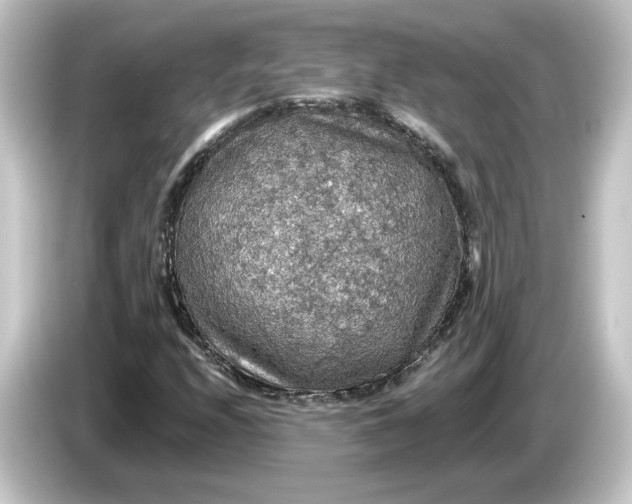 X0000084541208200703161621