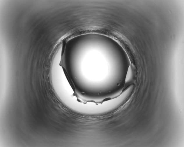 X0000084541210200703161621