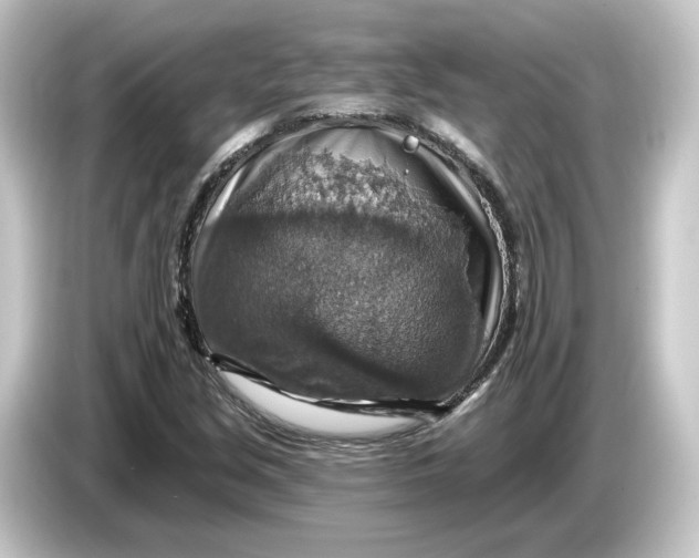 X0000084541213200703161621