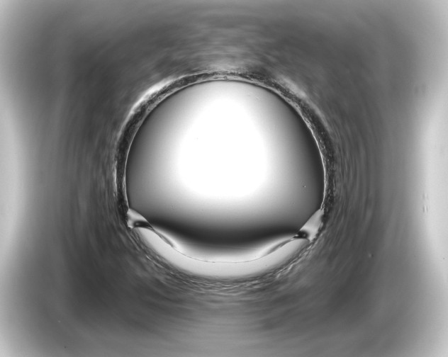 X0000084541214200703161621