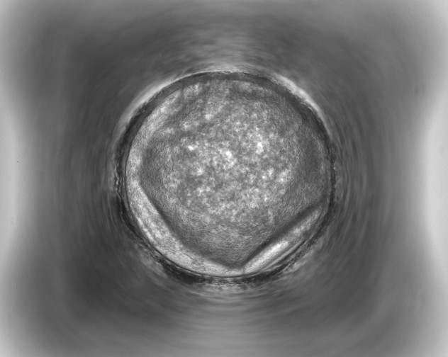 X0000084541215200703161621