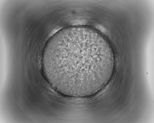 X0000084541217200703161621