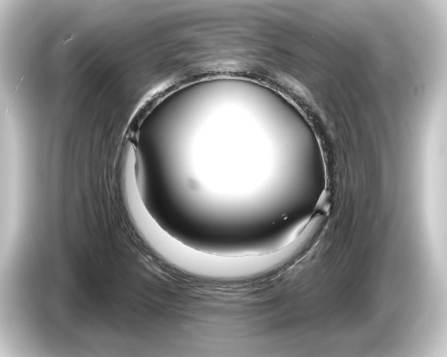 X0000084541218200703161621