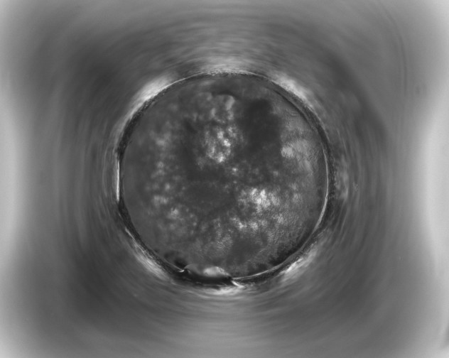 X0000084541219200703161621