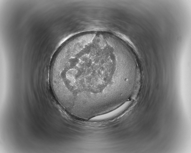 X0000084541220200703161621