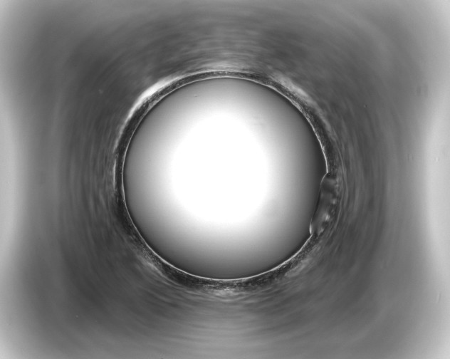 X0000084541222200703161621