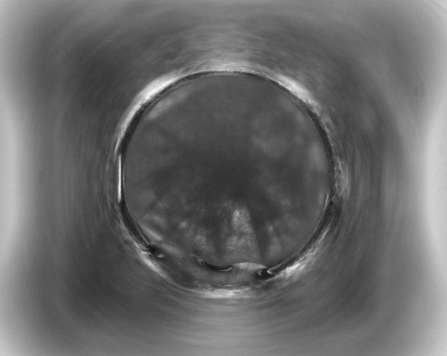 X0000084541223200703161621