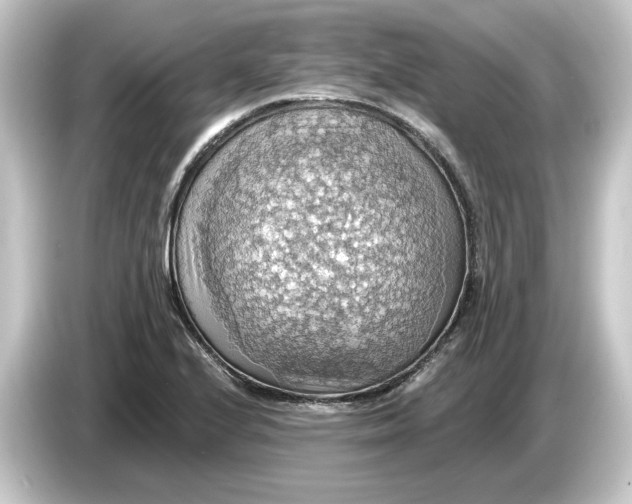 X0000084541224200703161621