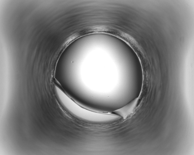 X0000084541225200703161621