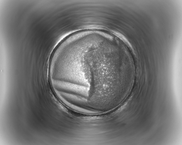 X0000084541228200703161621