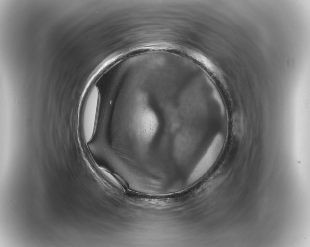 X0000084541229200703161621