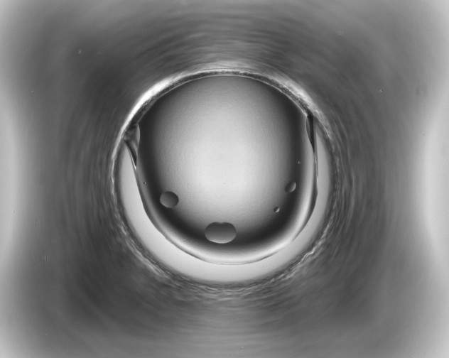 X0000084541230200703161621