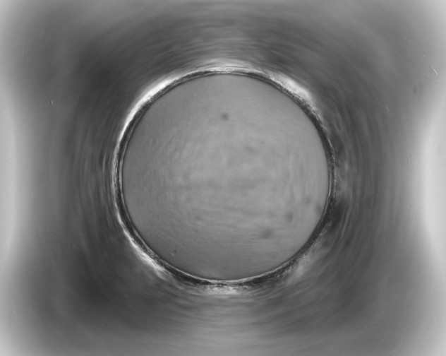 X0000084541231200703161621