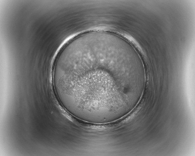 X0000084541232200703161621