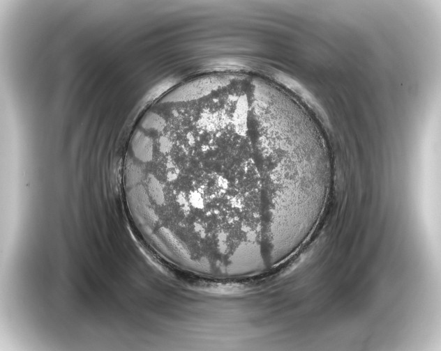 X0000084541233200703161621