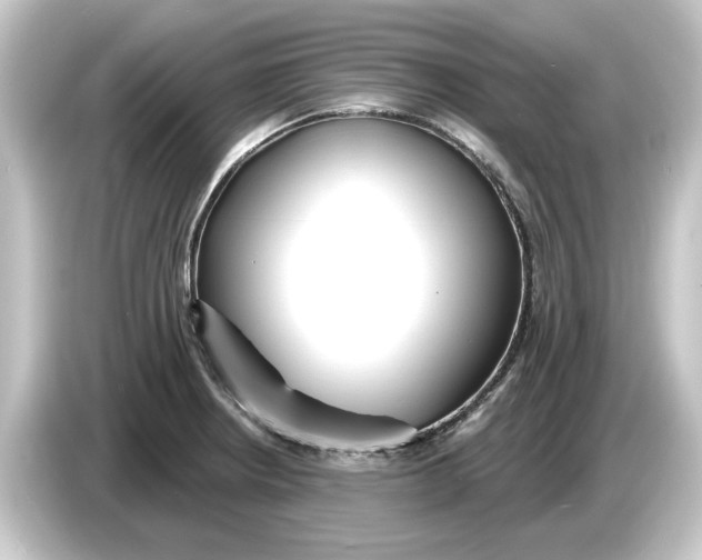 X0000084541234200703161621