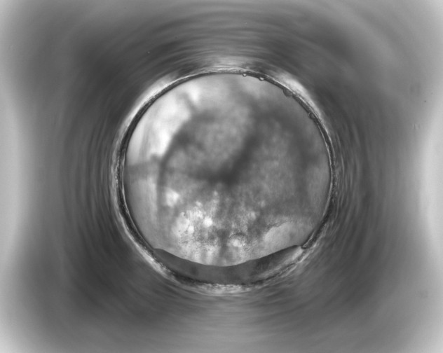 X0000084541235200703161621