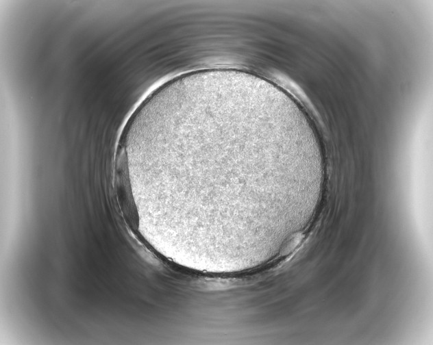 X0000084541236200703161621