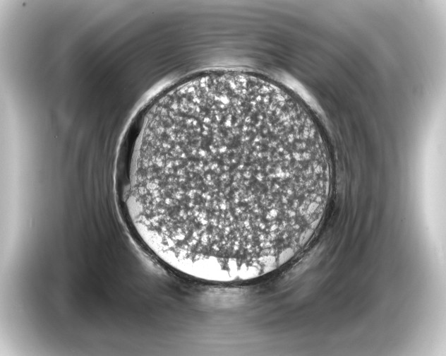 X0000084541237200703161621