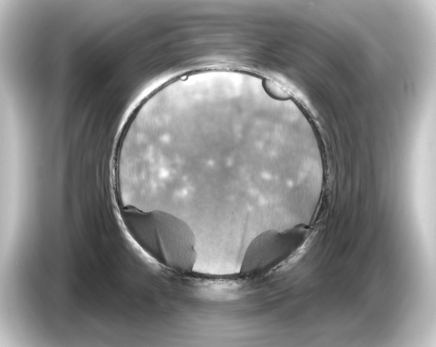 X0000084541239200703161622