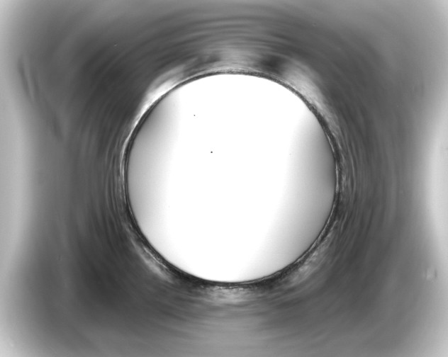 X0000084541242200703161622