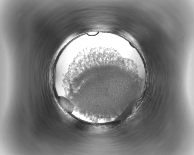 X0000084541243200703161622