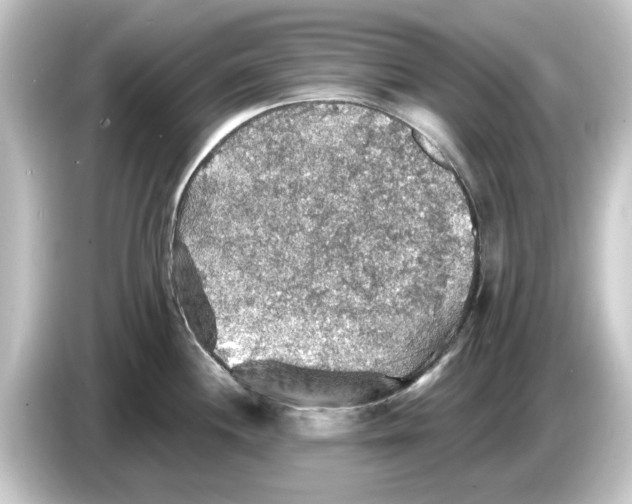 X0000084541244200703161622