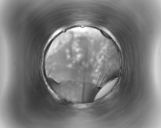 X0000084541245200703161622