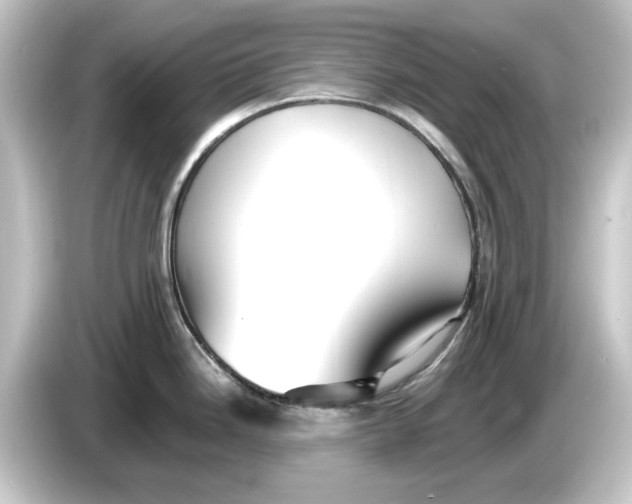 X0000084541246200703161622