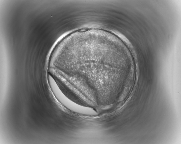 X0000084541248200703161622