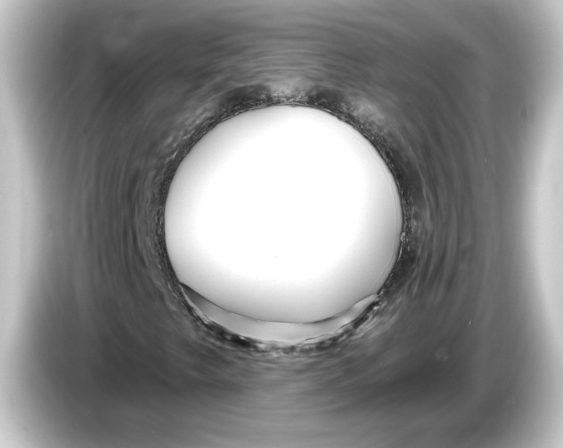 X0000084541249200703161621