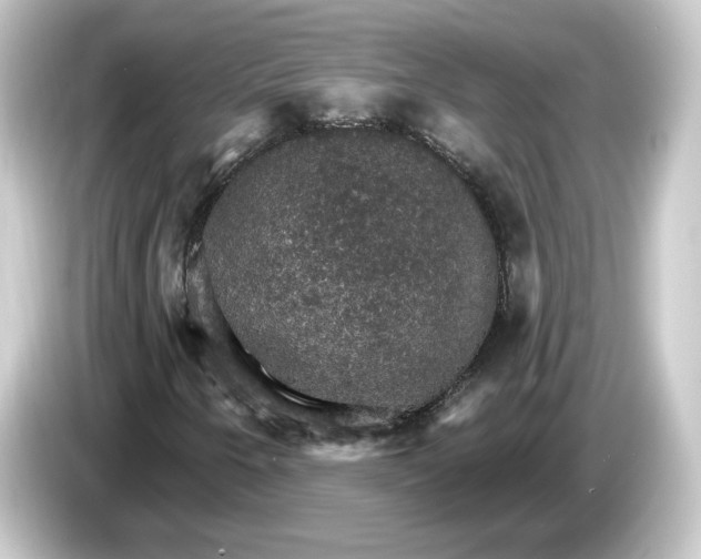 X0000084541250200703161621