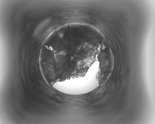 X0000084541251200703161621