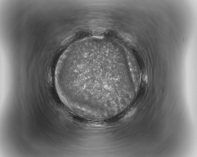 X0000084541252200703161621